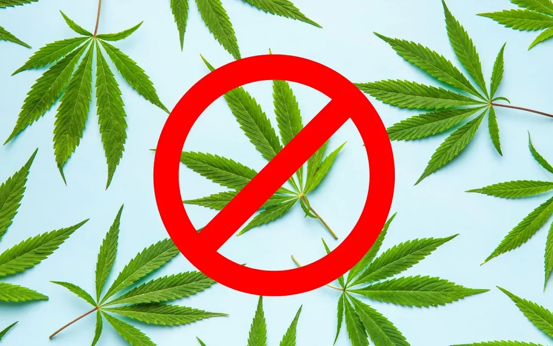 Ezért nem szabad Magyarországon legalizálni a kannabiszt